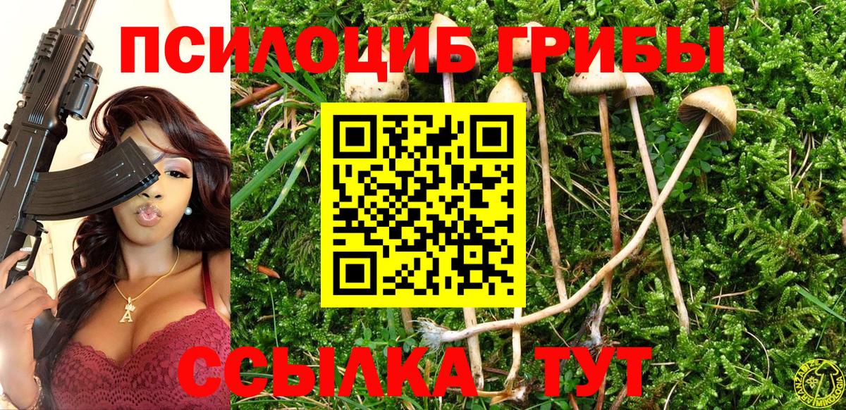 Галлюциногенные грибы Magic Shrooms  Псилоцибиновые грибы ЛСД  Ахтубинск  Вход с VPN 