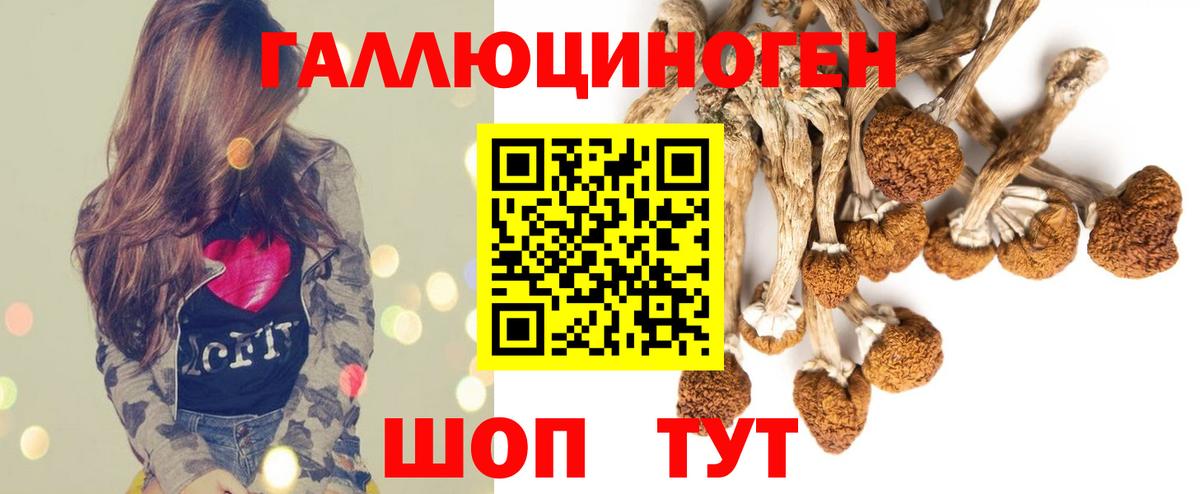 Псилоцибиновые грибы Magic Shrooms Ахтубинск